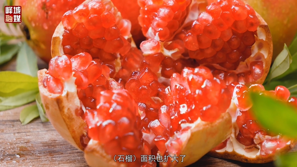 微信截圖_20250219144454.png 微信截圖_20250219144454.png